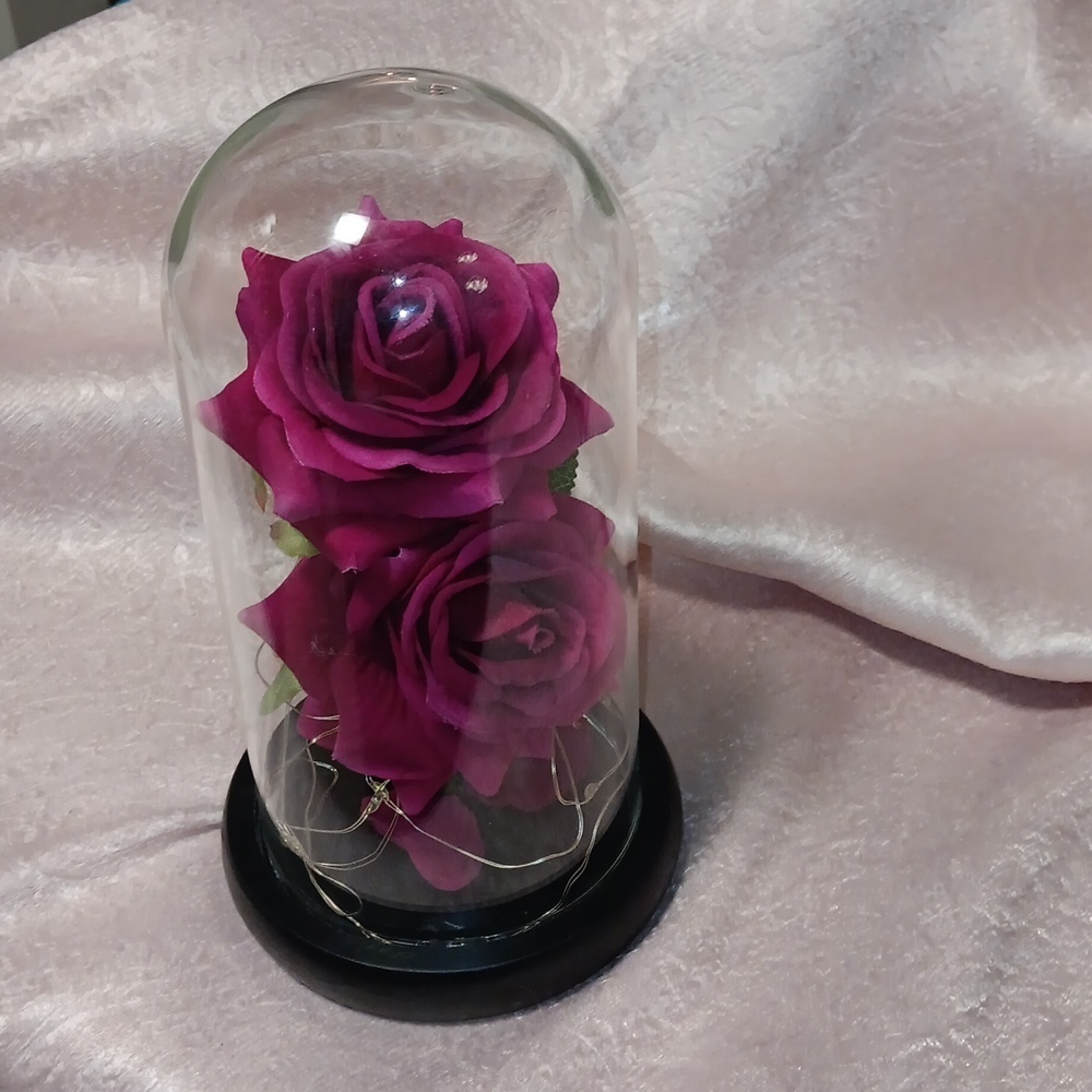 Enchanted Rose Dome with LED Lights